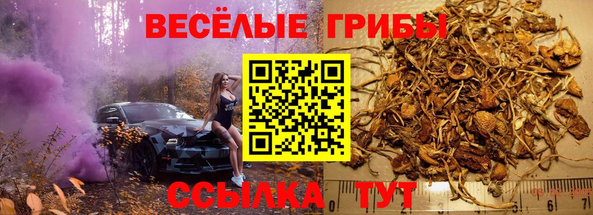 Удомля  Галлюциногенные грибы мухоморы  Галлюциногенные грибы GOLDEN TEACHER  Вход с VPN 